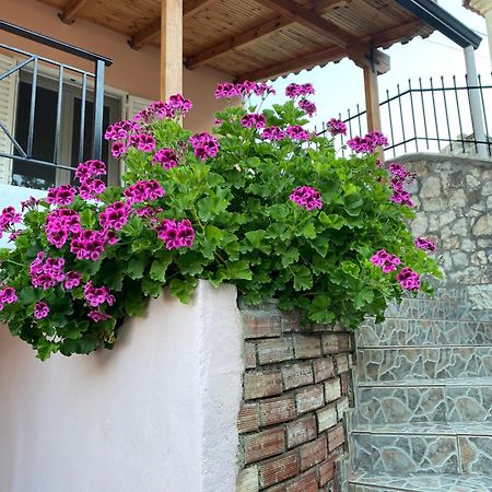 Gkoros House Old Town Villa Himarë Eksteriør billede