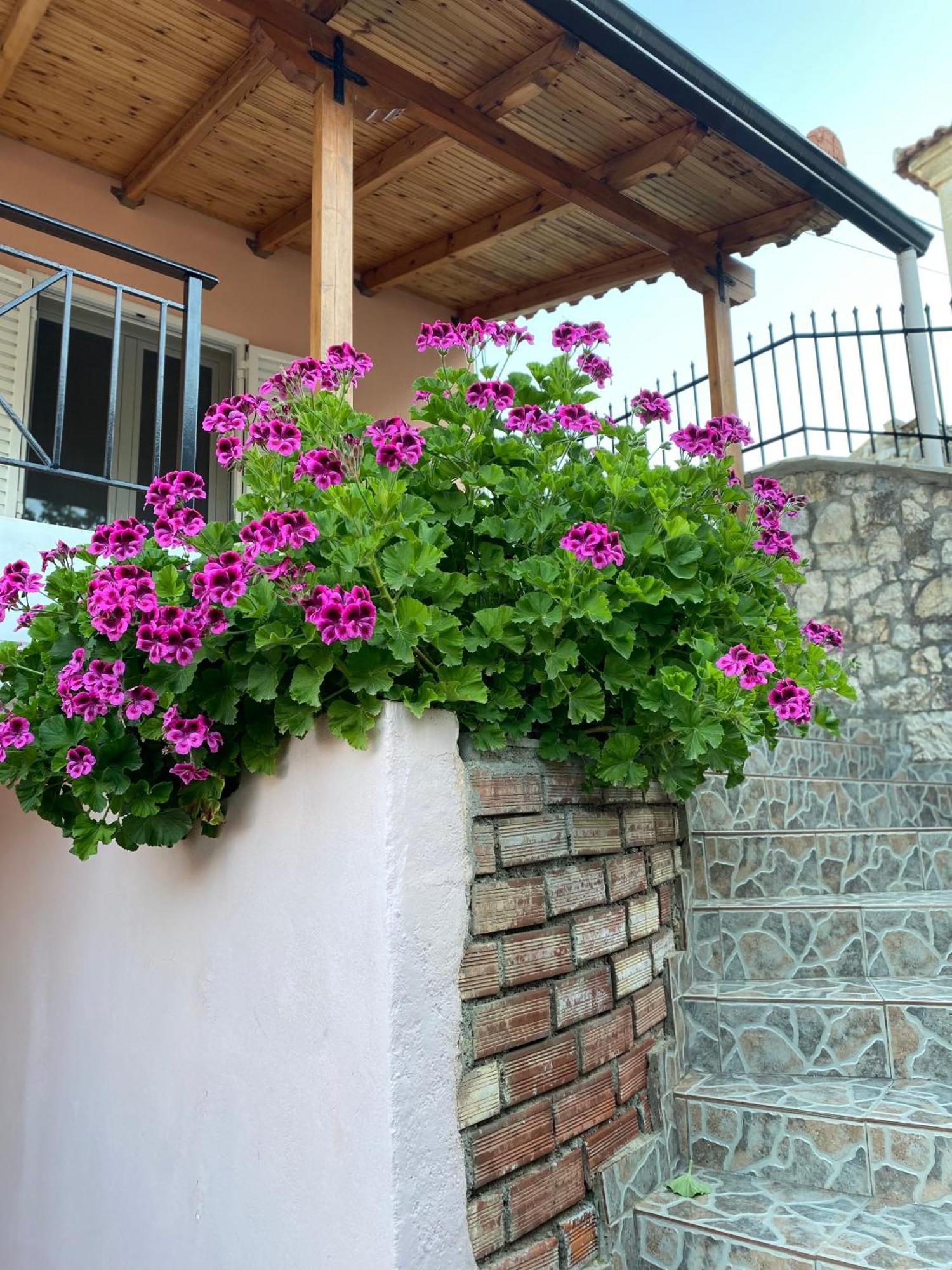 Gkoros House Old Town Villa Himarë Eksteriør billede